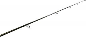 best spinning rod for silver salmon
