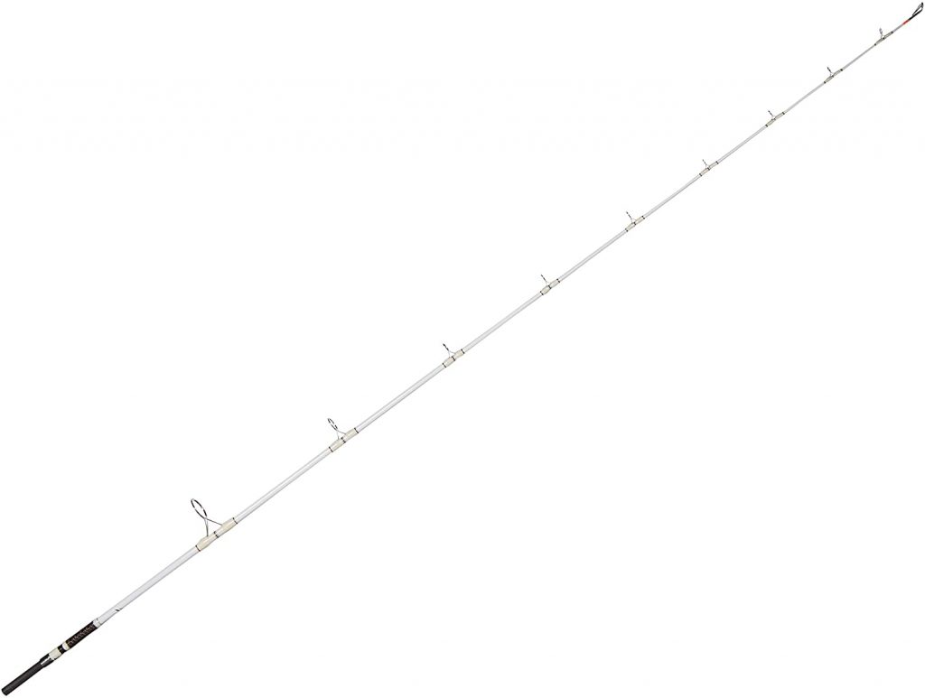 best catfish rod and reel setup