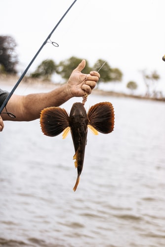 Best all around fishing rod and reel combo