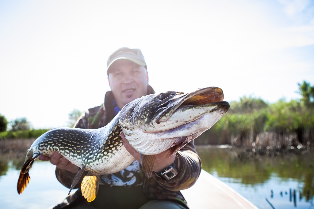 best Northern Pike fishing in United States
