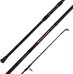 Best Beach Casting Rod
