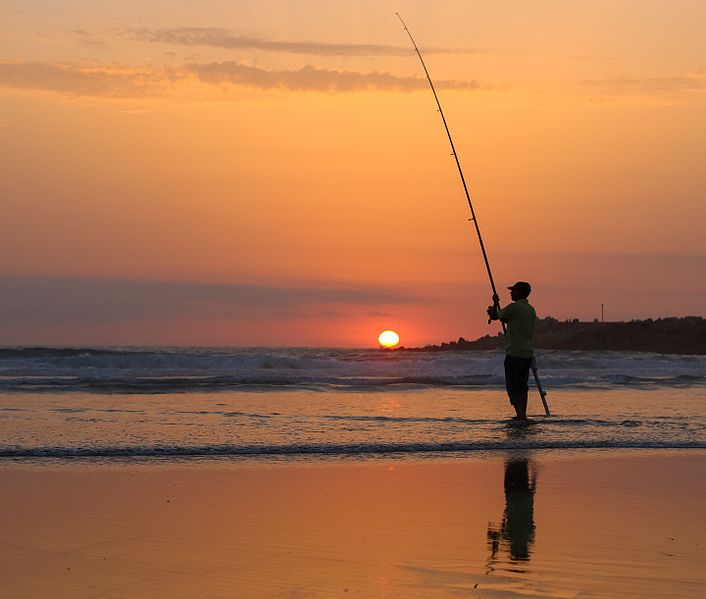 Best Beach Casting Rod