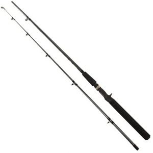 Best Baitcasting Rod Under 100