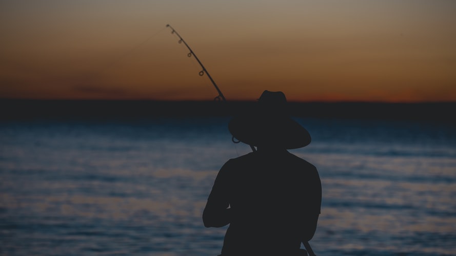 Best Baitcasting Rod Under 100