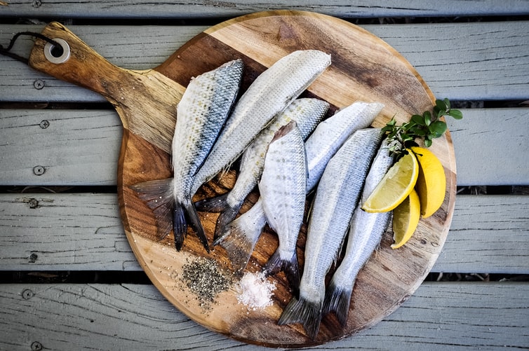 How to Keep Fish Fresh While Fishing