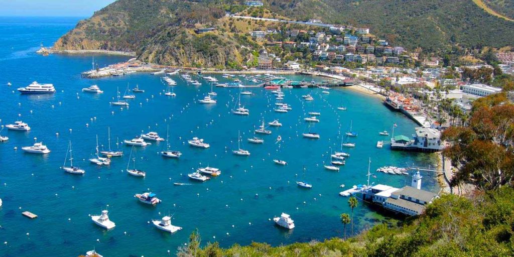best place to surf fish in Southern California