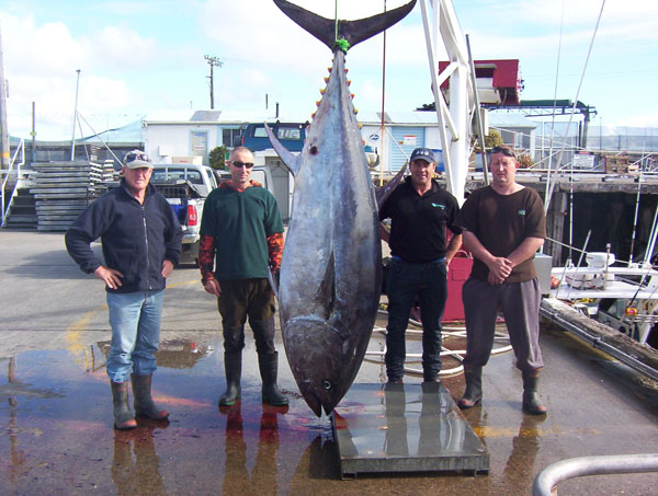 where to catch bluefin tuna