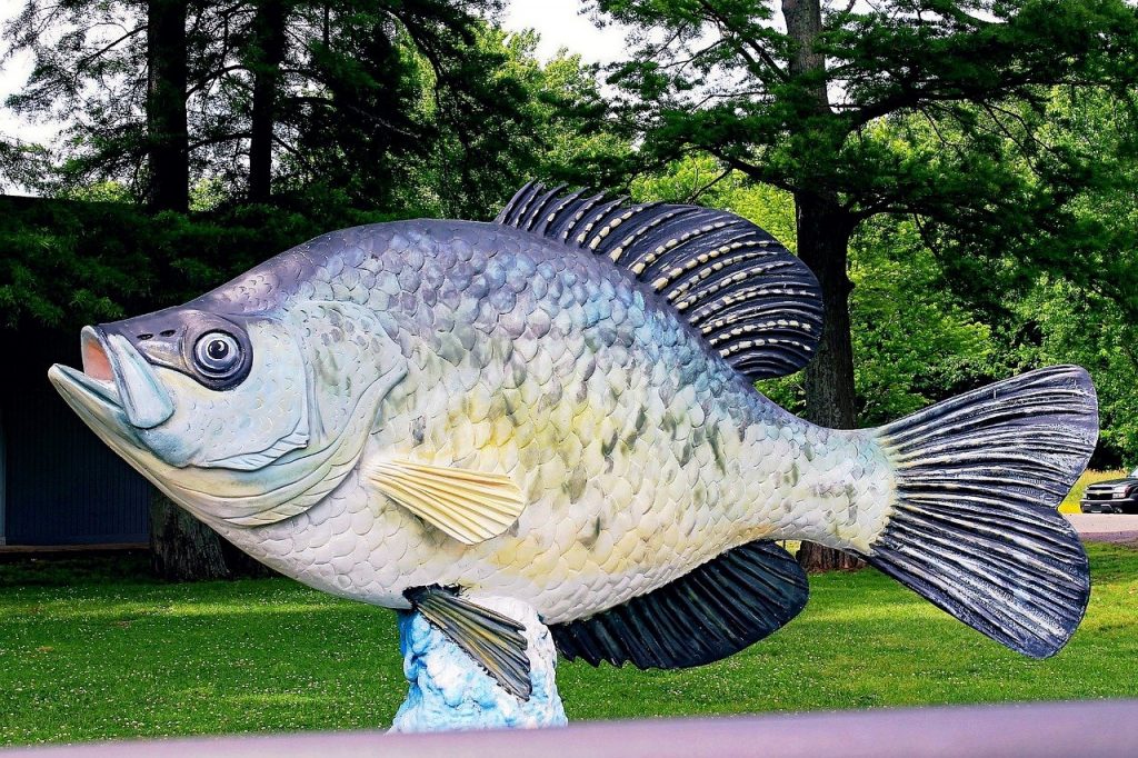 best crappie lakes in Michigan