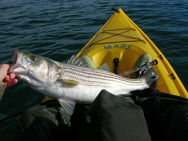 what fish are biting this time of the year