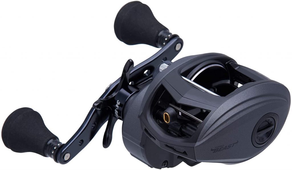 Baitcaster In Saltwater