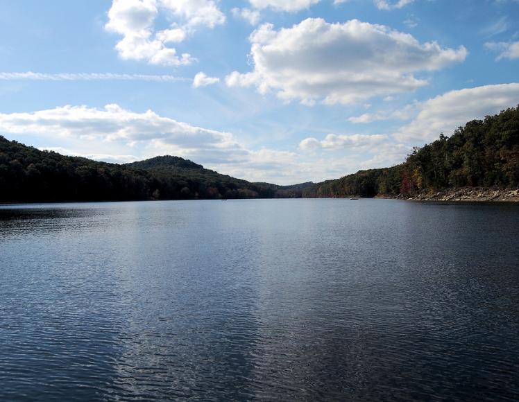 Best Bank Fishing In Kentucky