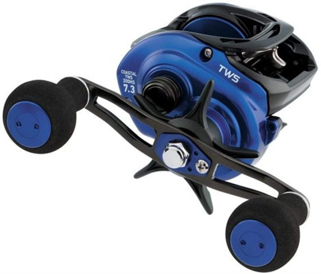 Baitcaster In Saltwater