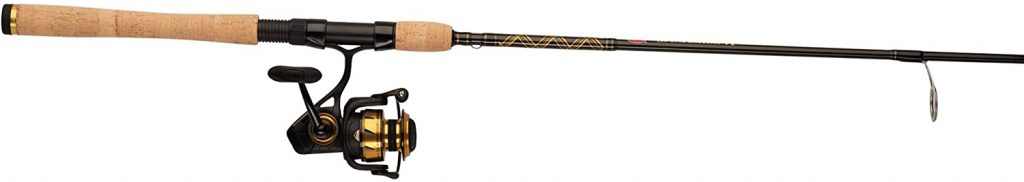 Best Rods For Tuna Fishing