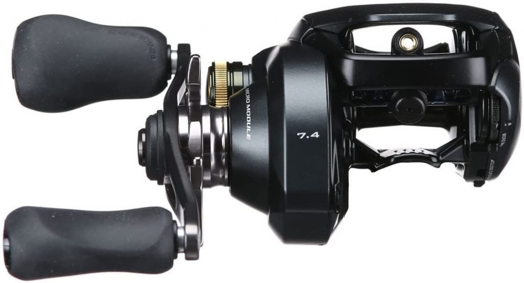 Baitcaster In Saltwater