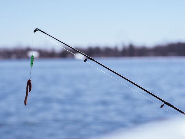 how to catch mullet with a fishing pole